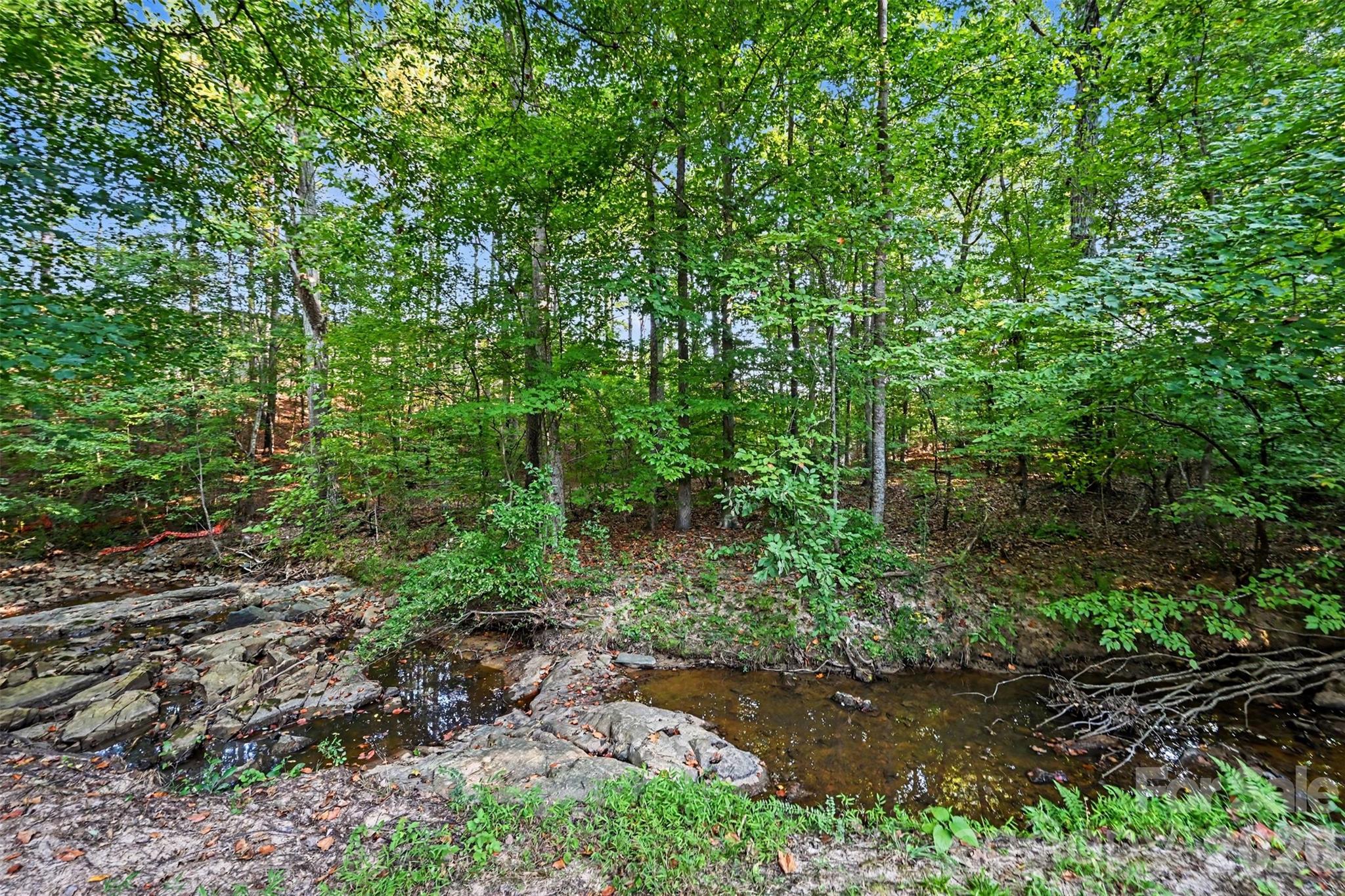 Image 37