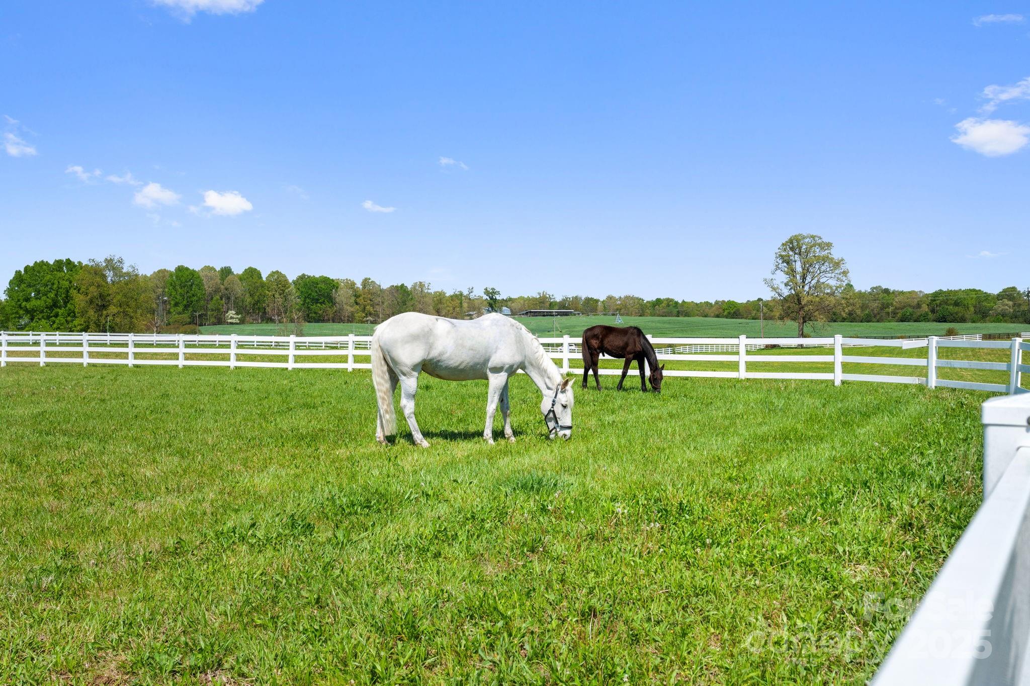 Property view 7