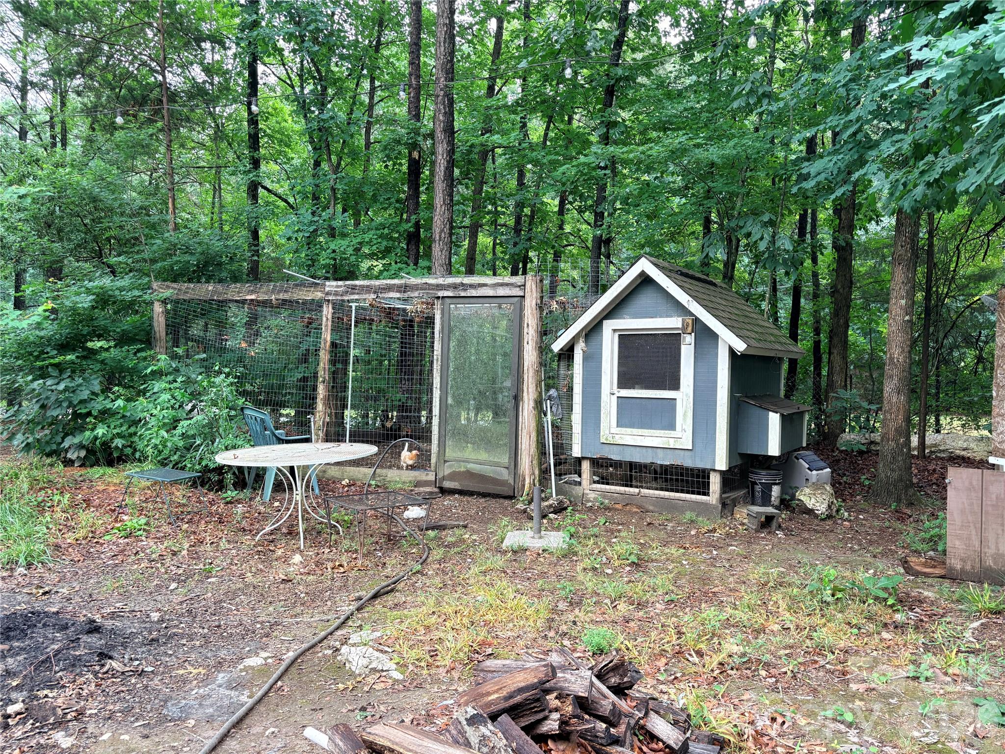 Image 8