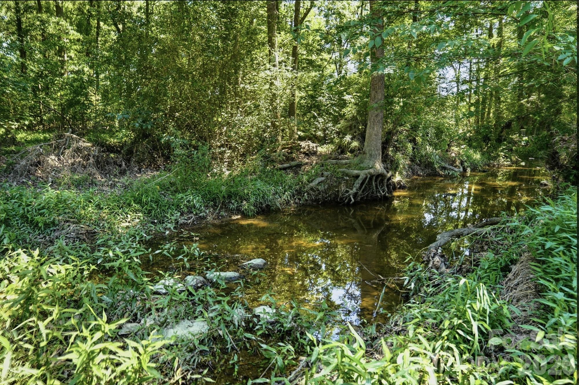 Image 35