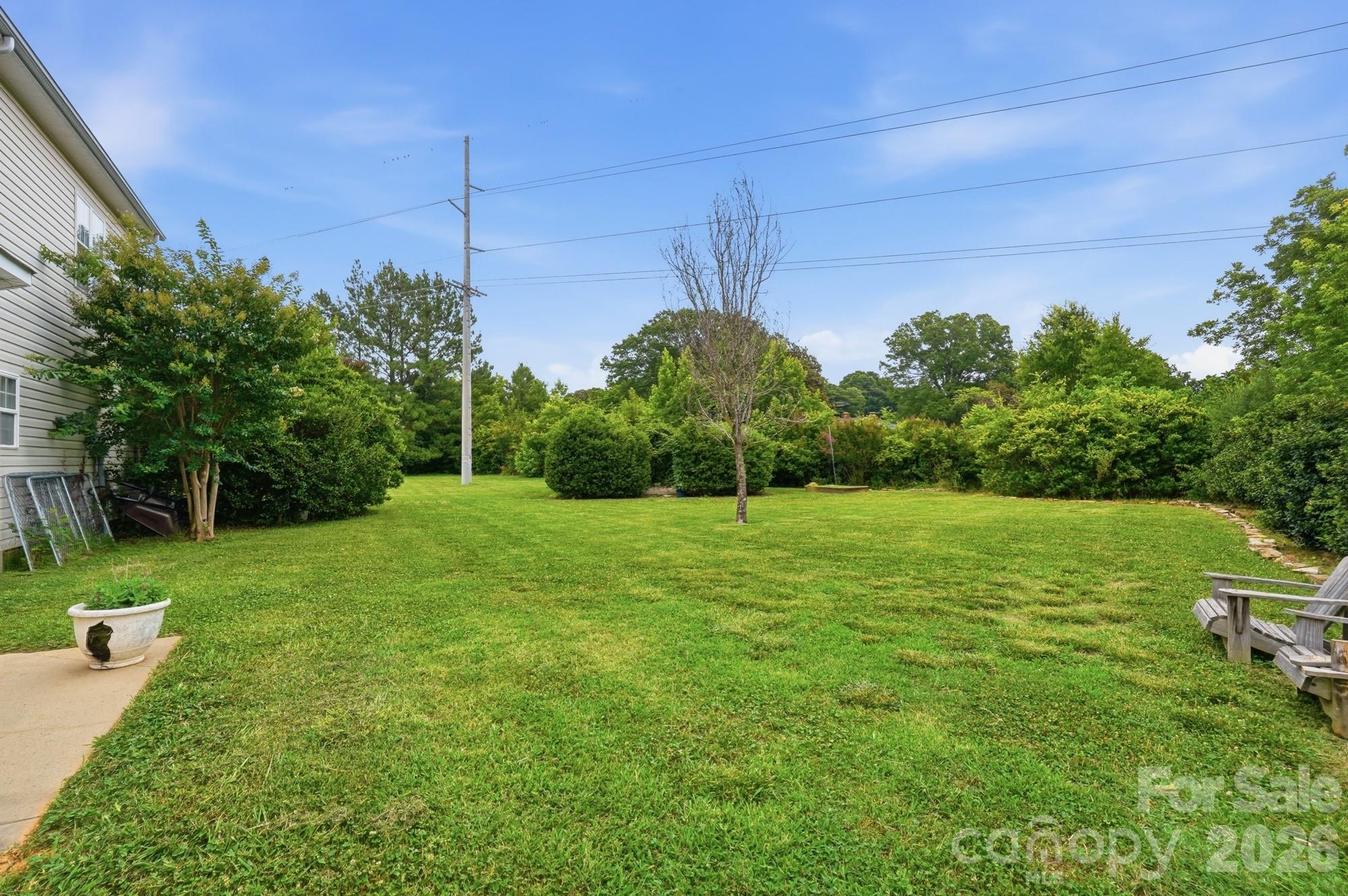 Image 41