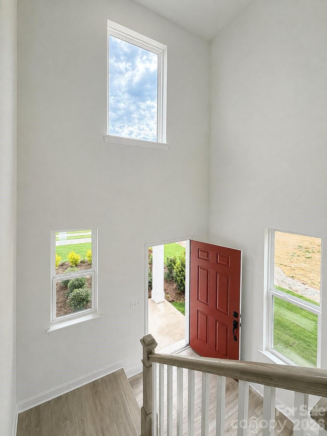 Image 19
