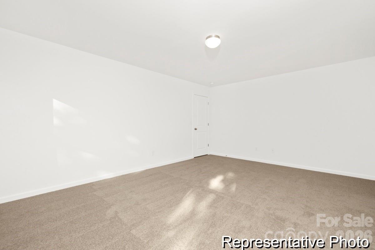 Image 16