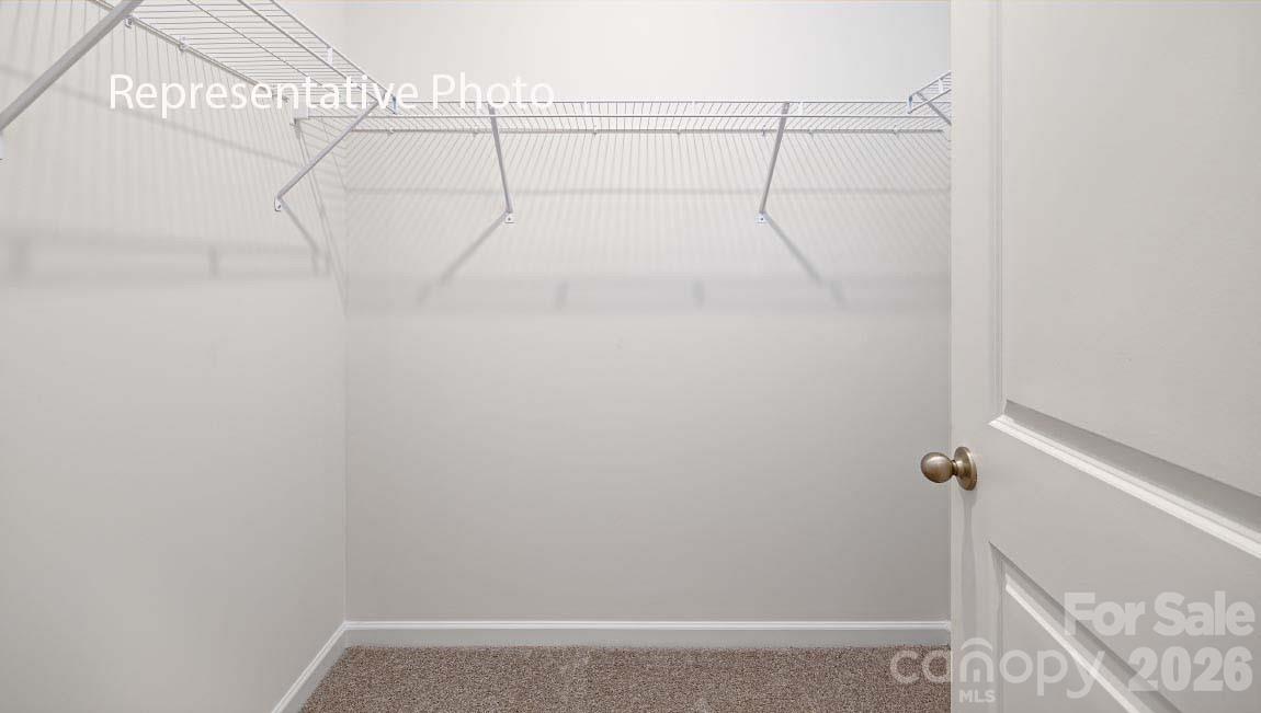 Image 13