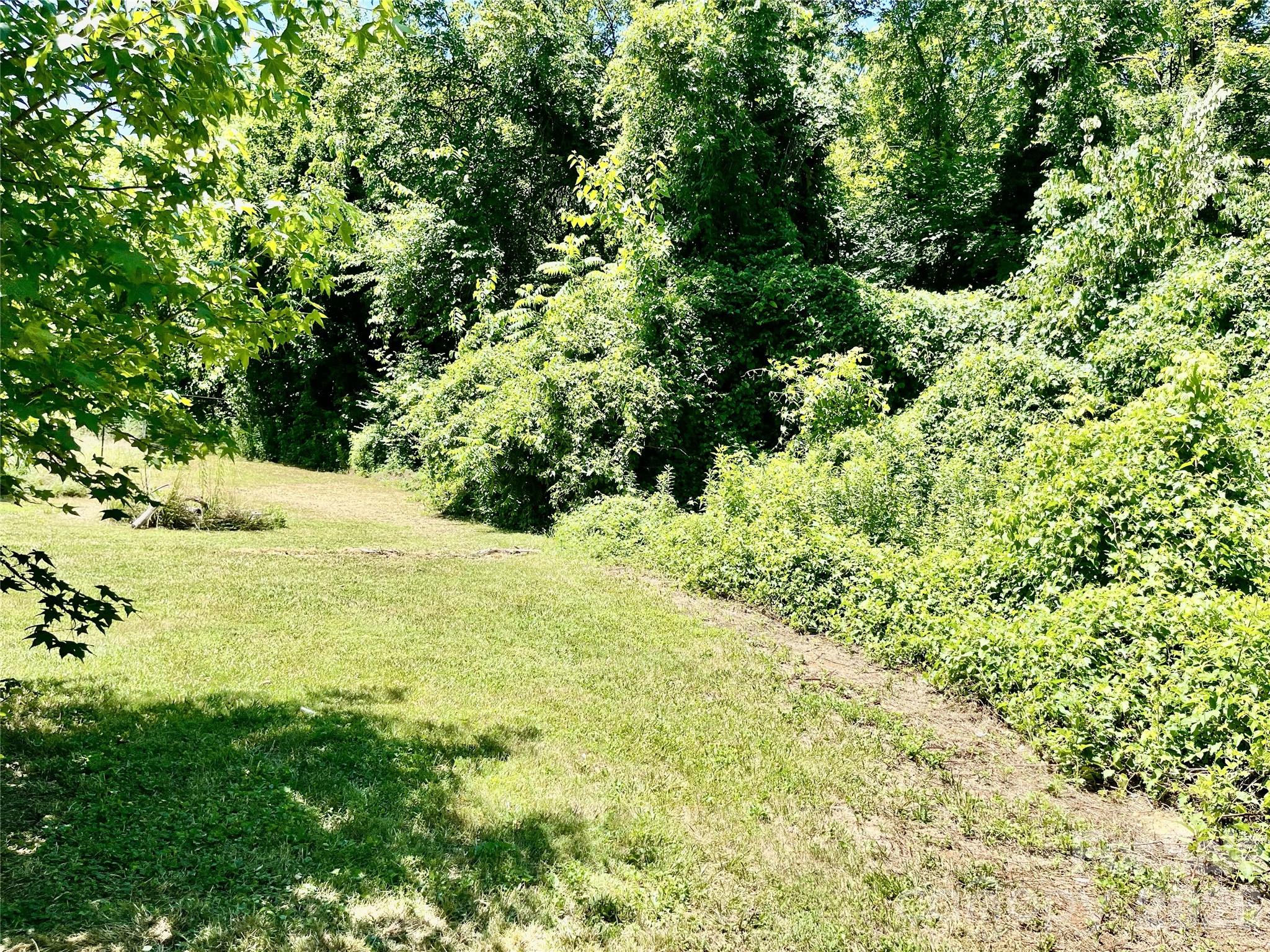 Image 25