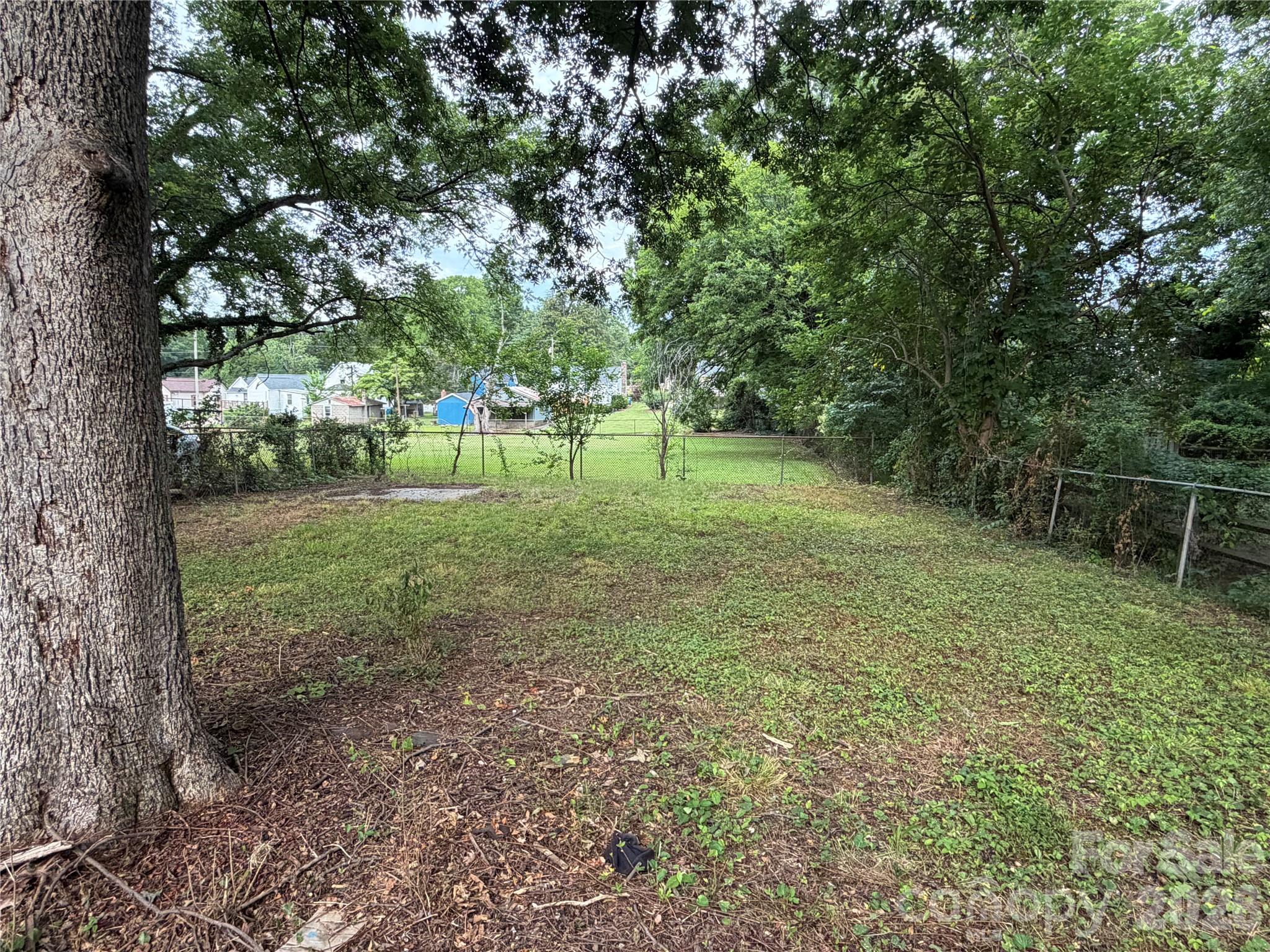 Image 30