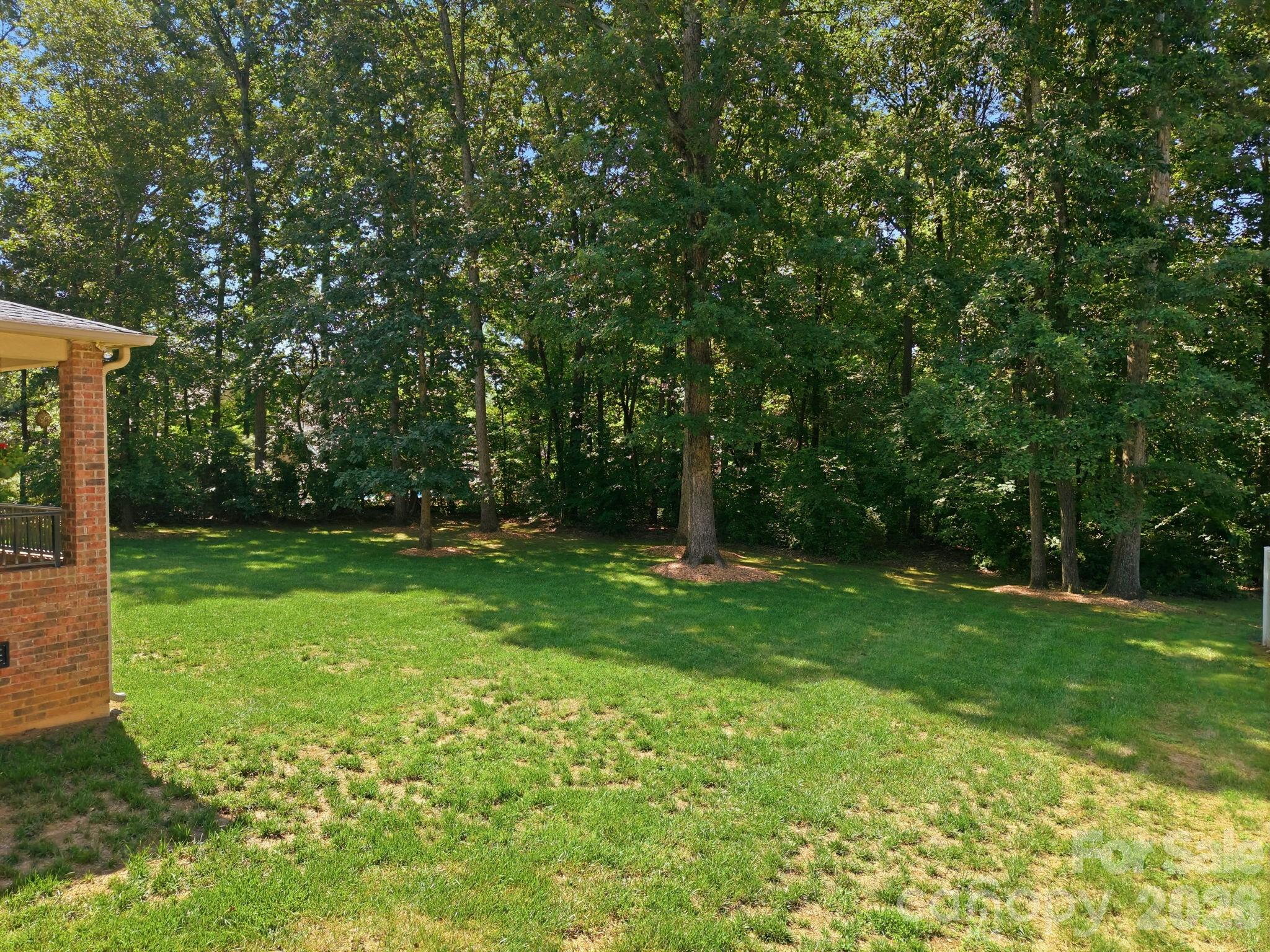 Image 45