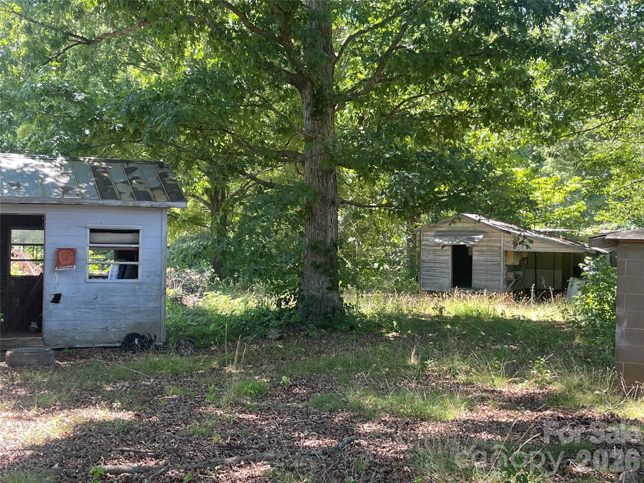Image 13