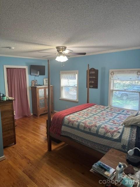 Image 11