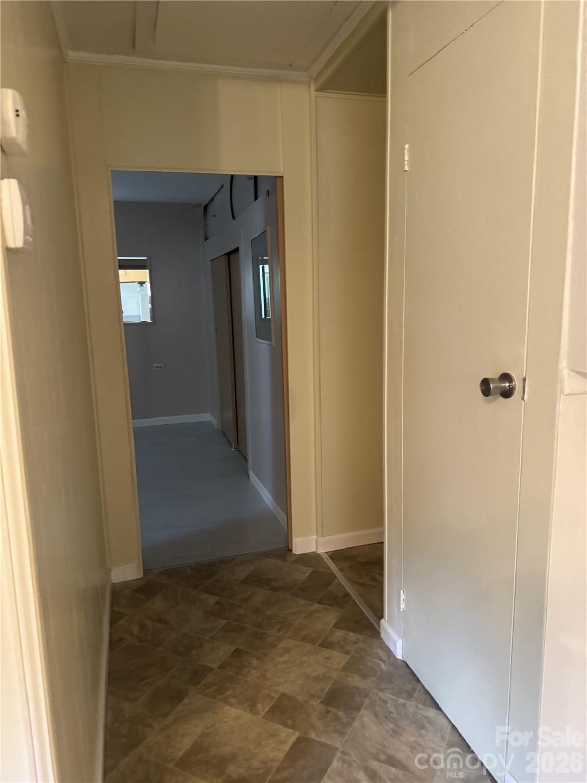Image 19