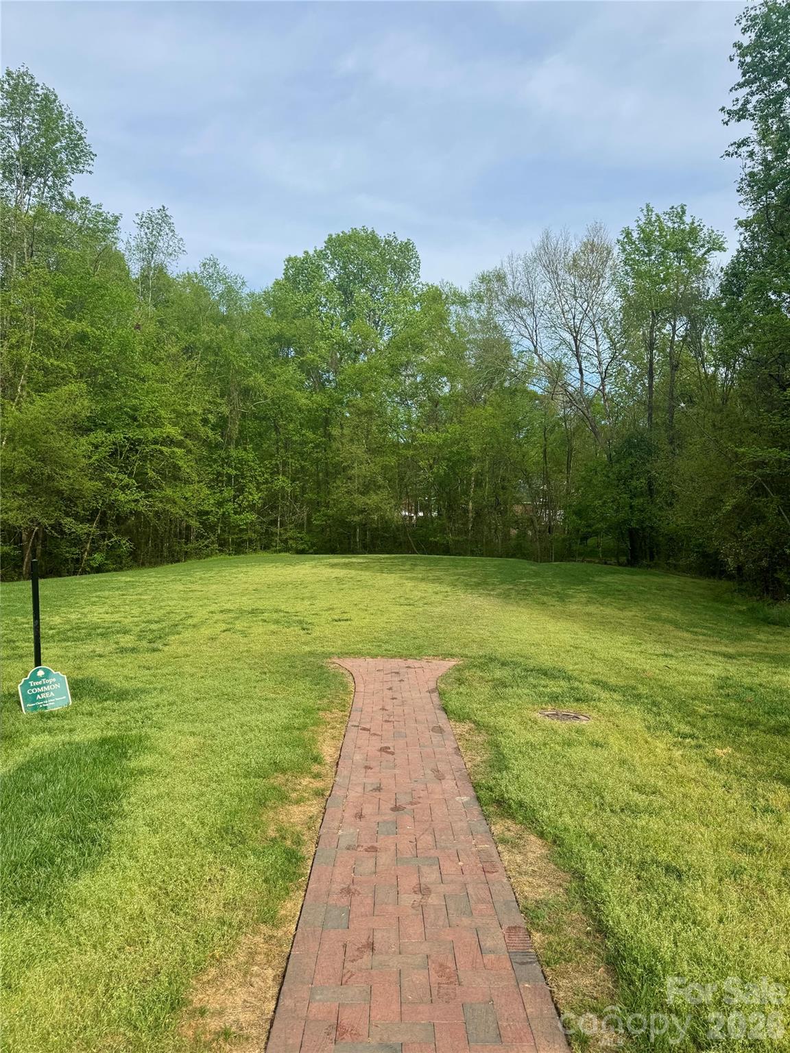 Image 46