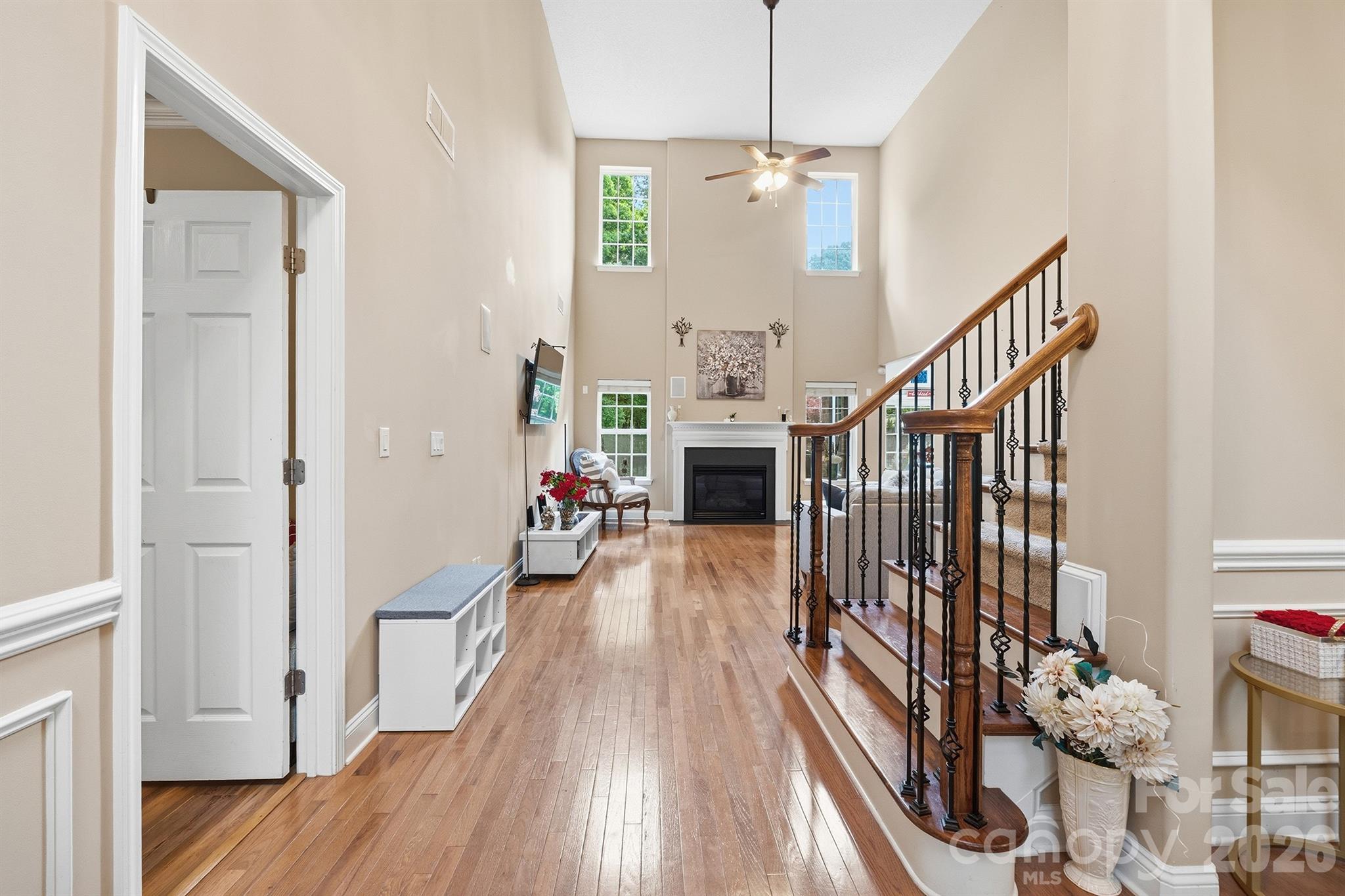 Image 19