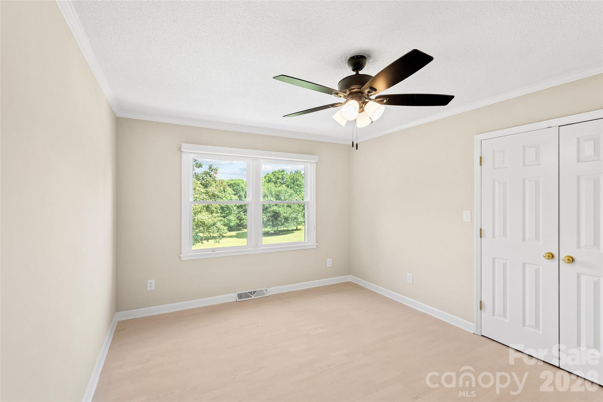Image 29