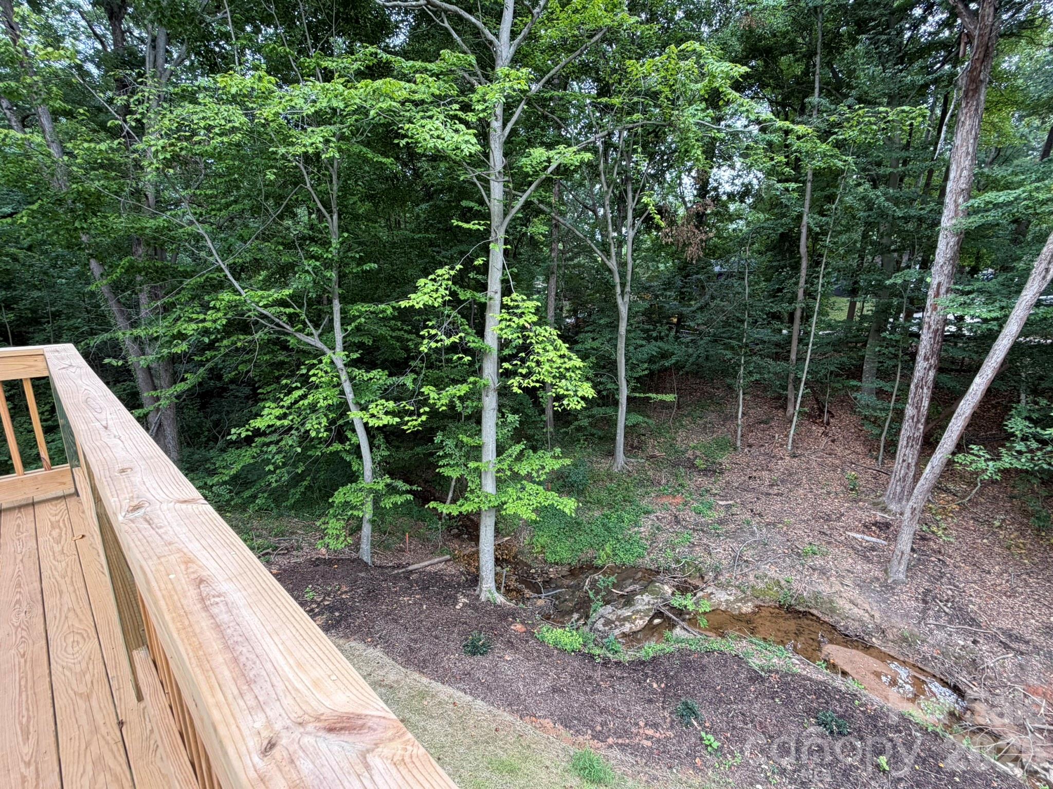 Image 15