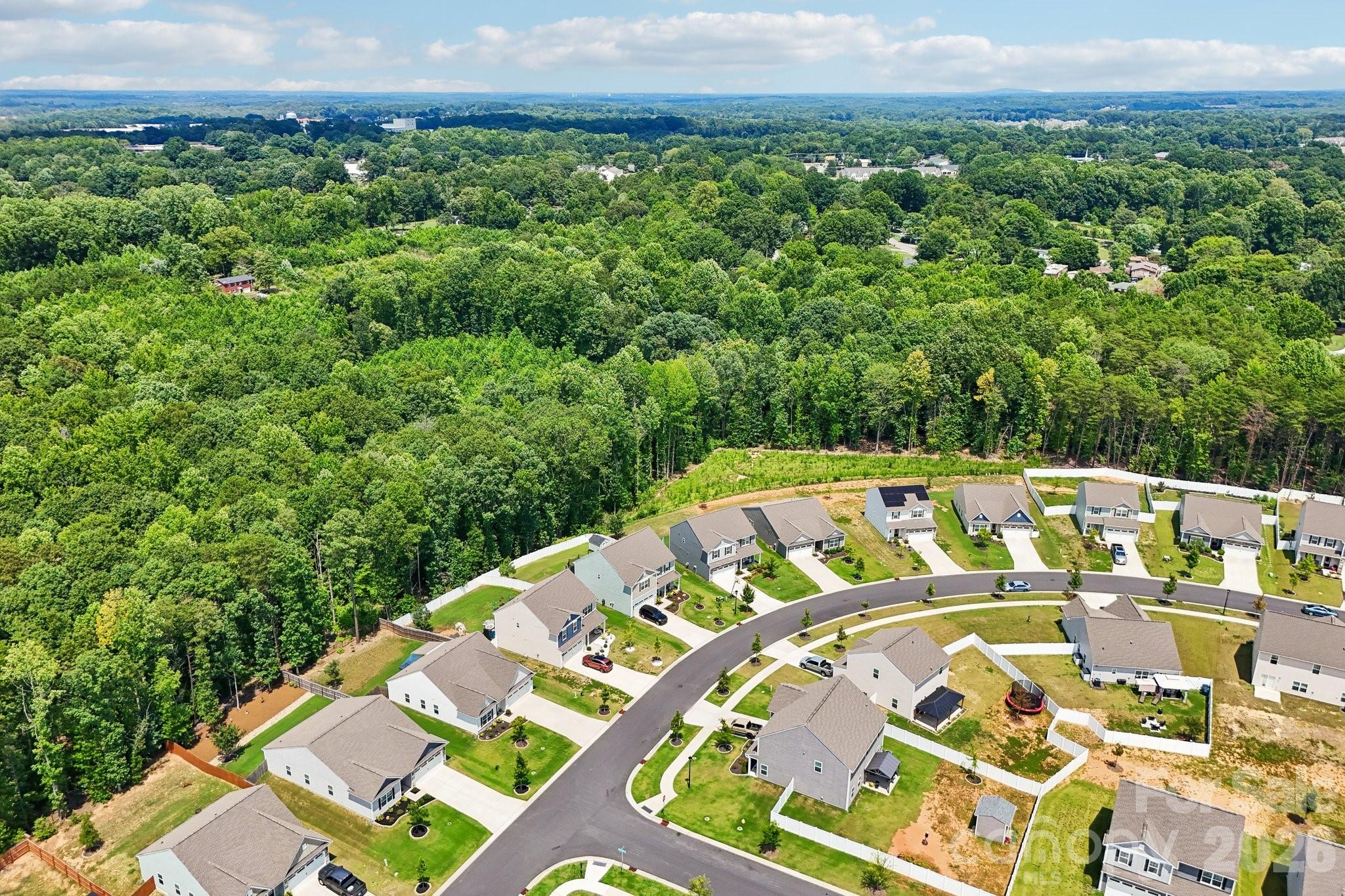 Image 41