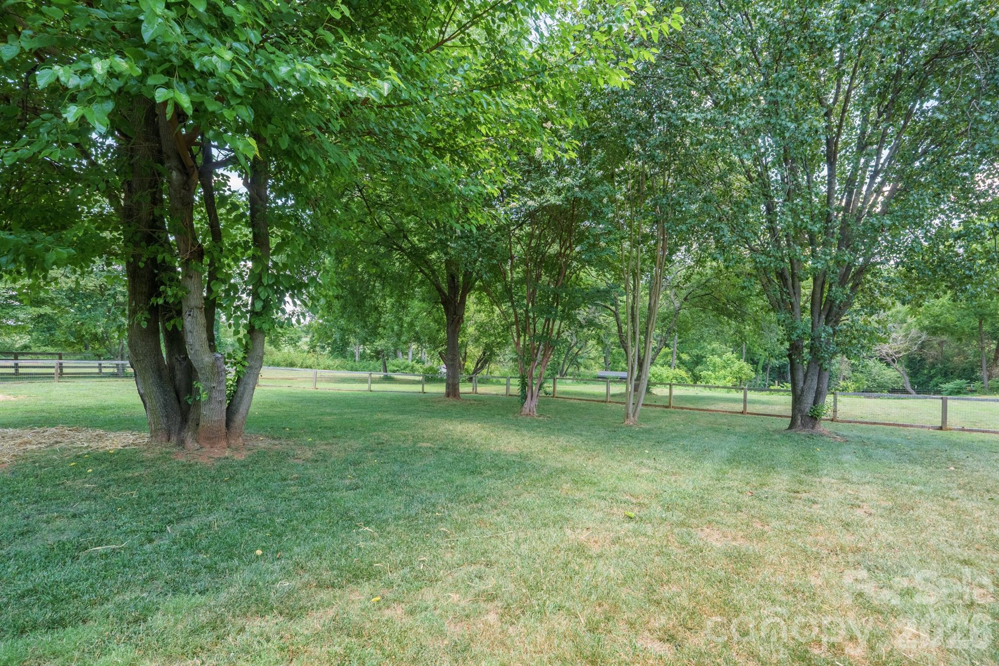 Image 37