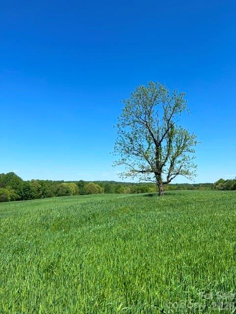 Image 29