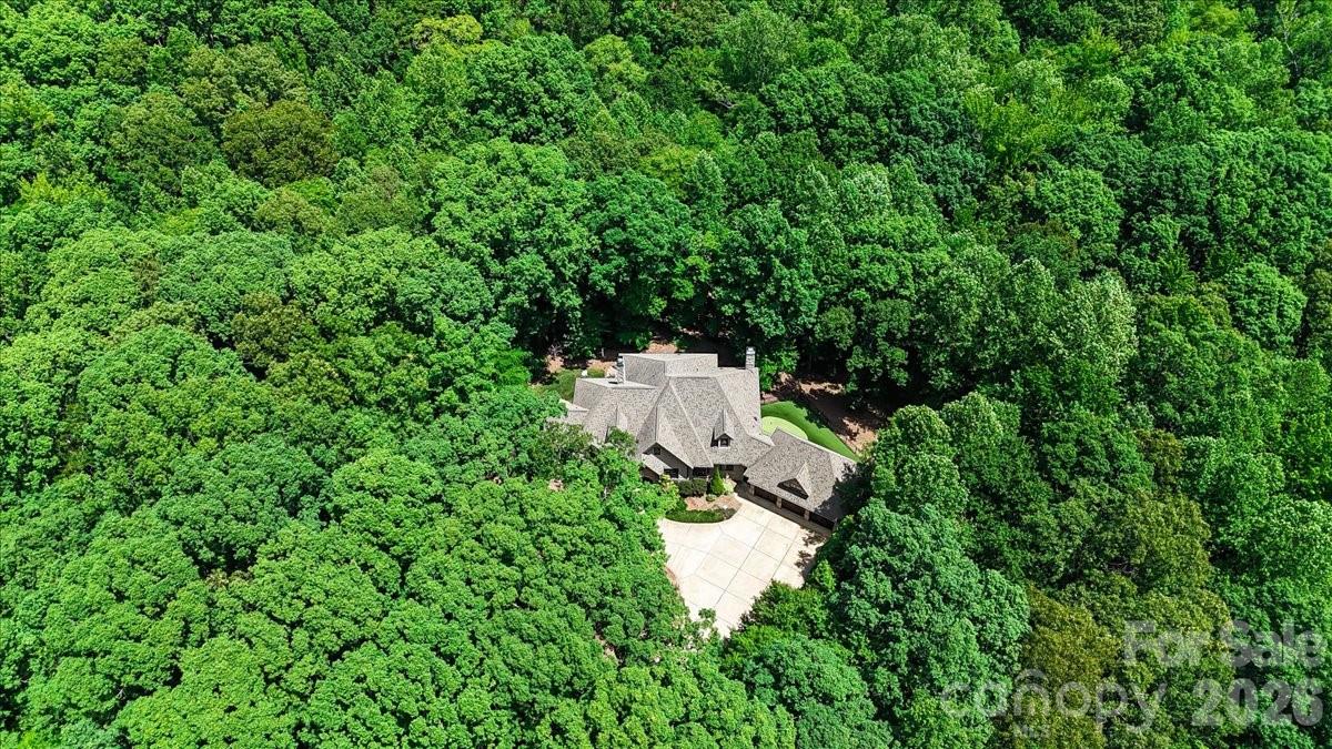 Image 45