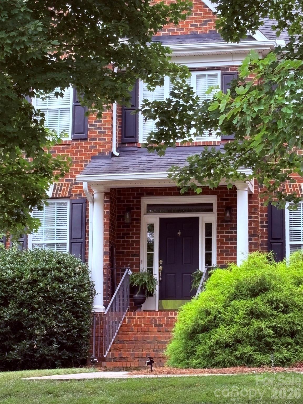Image 8