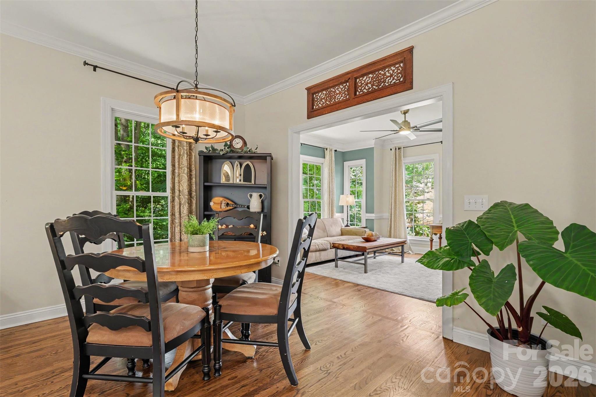 Image 21