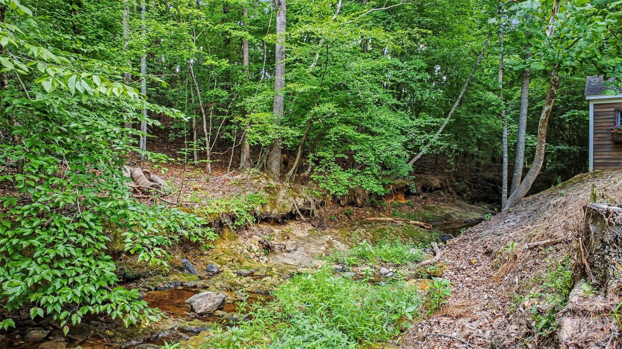 Image 41