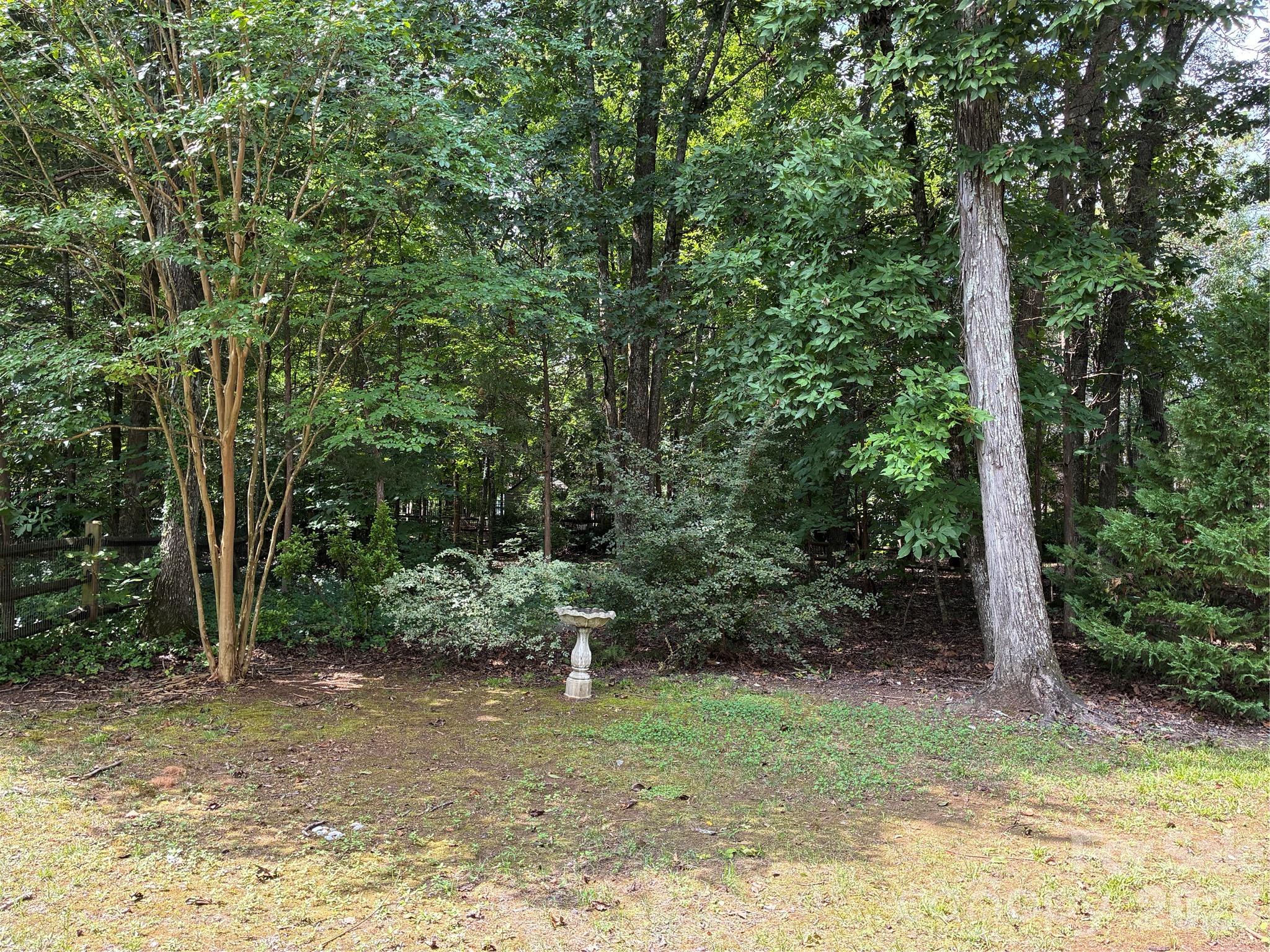 Image 38