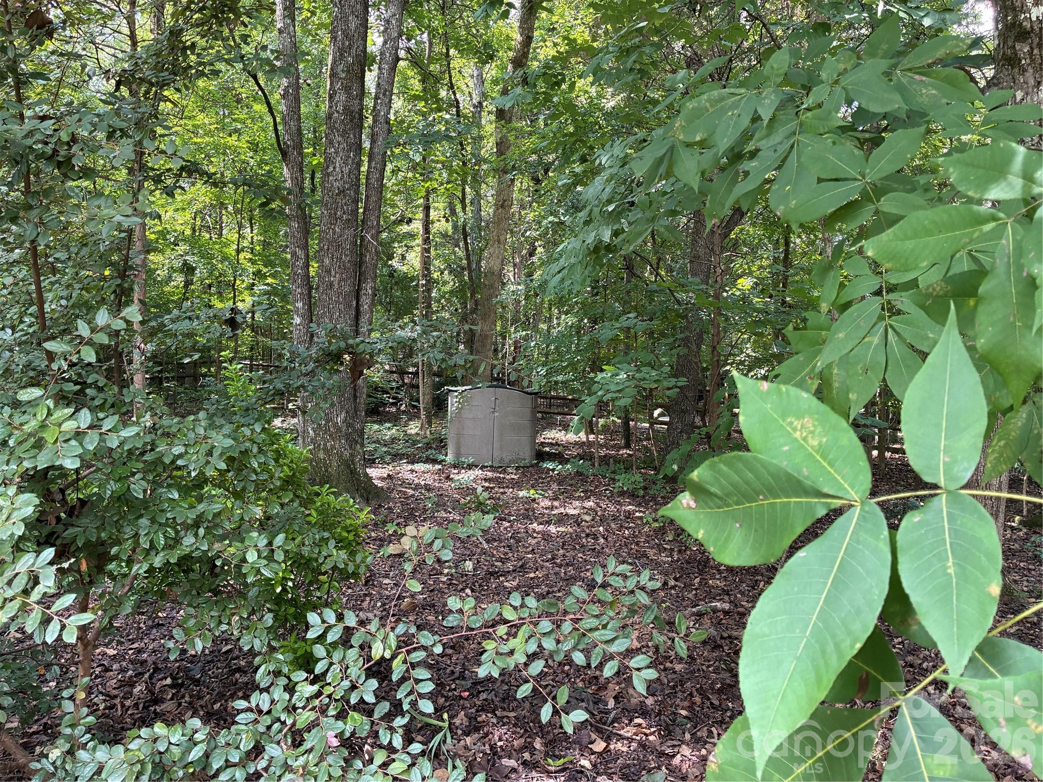 Image 41