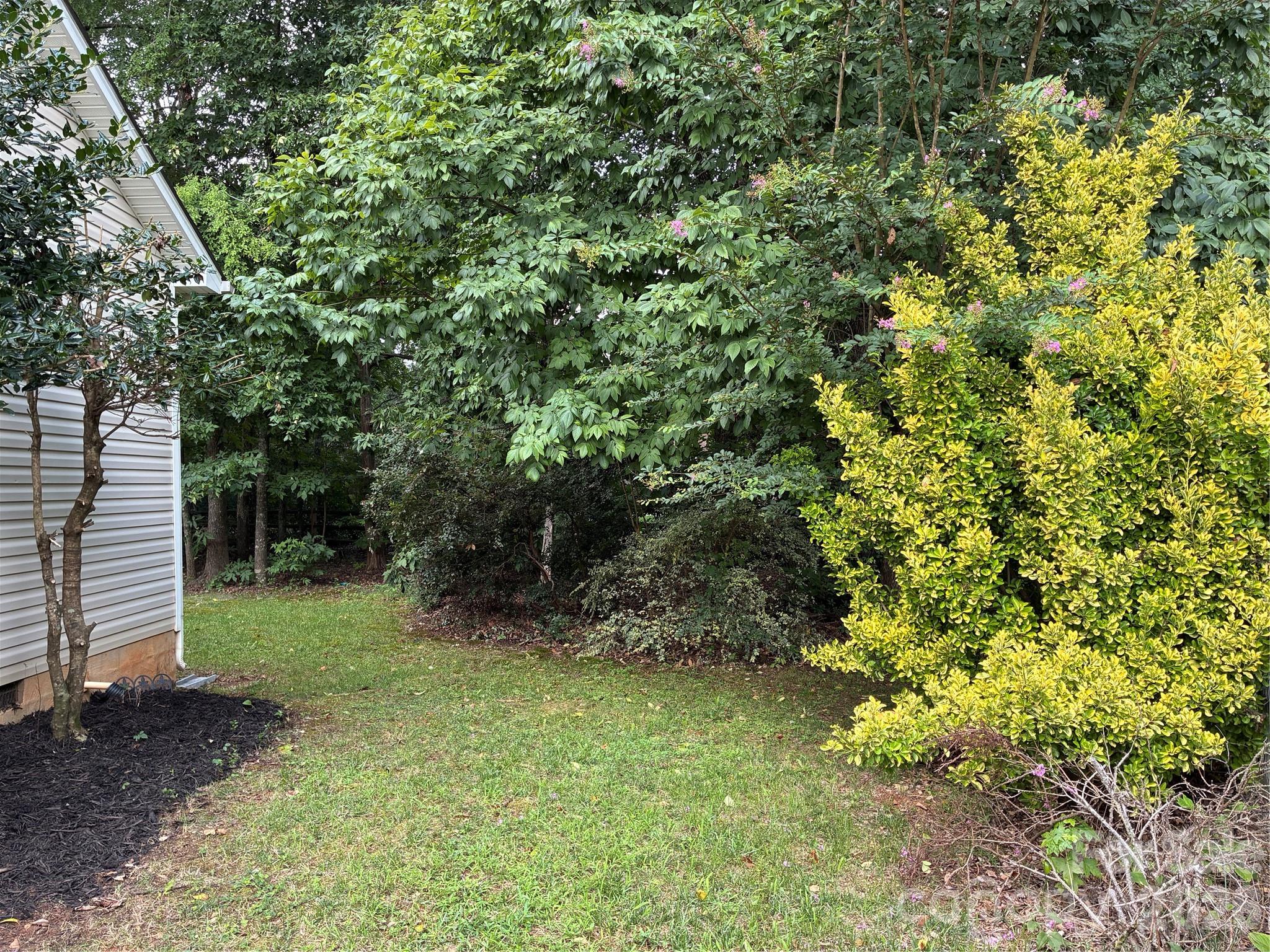 Image 45