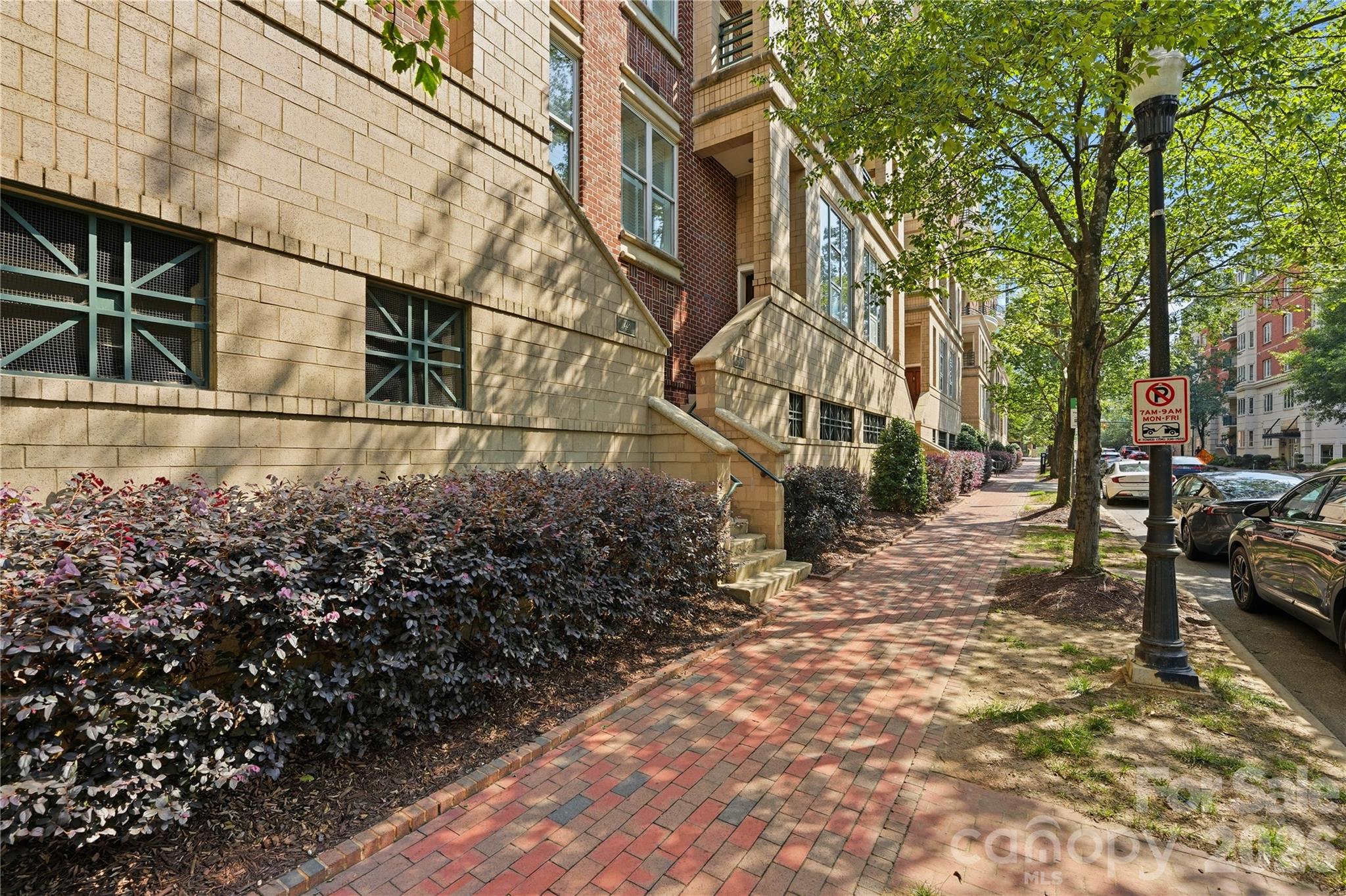 Image 19