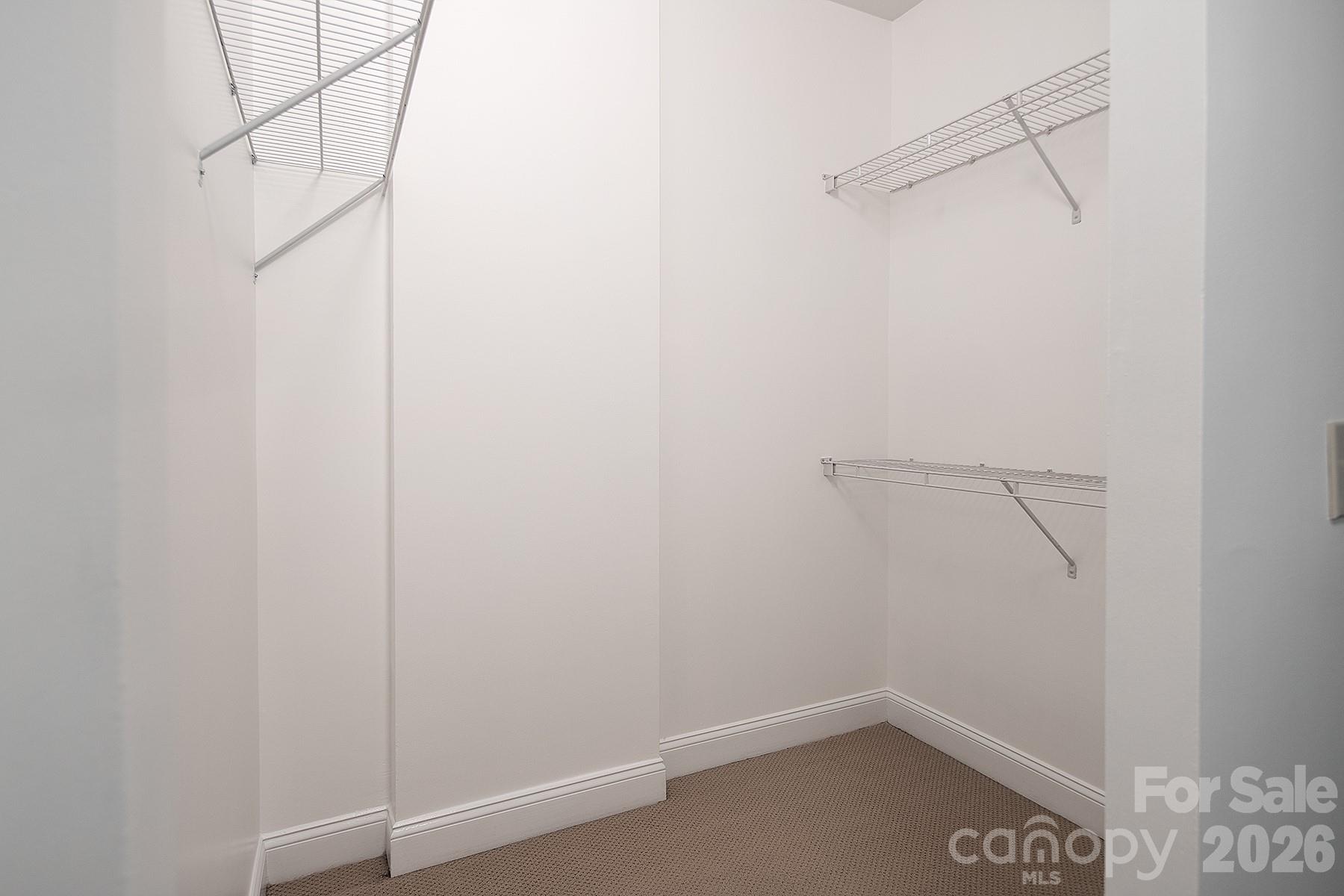 Image 29