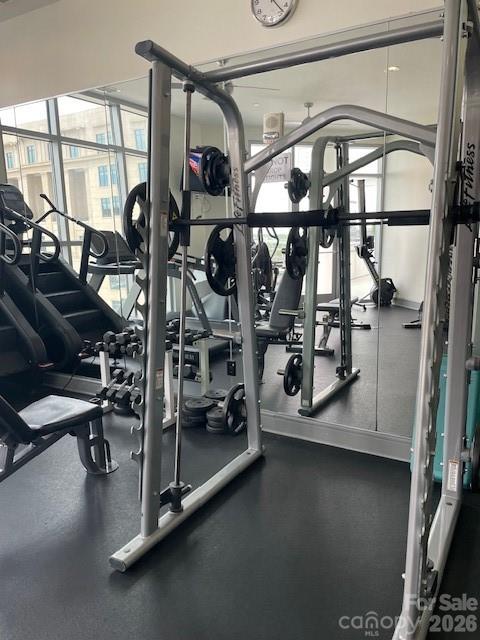 Image 20
