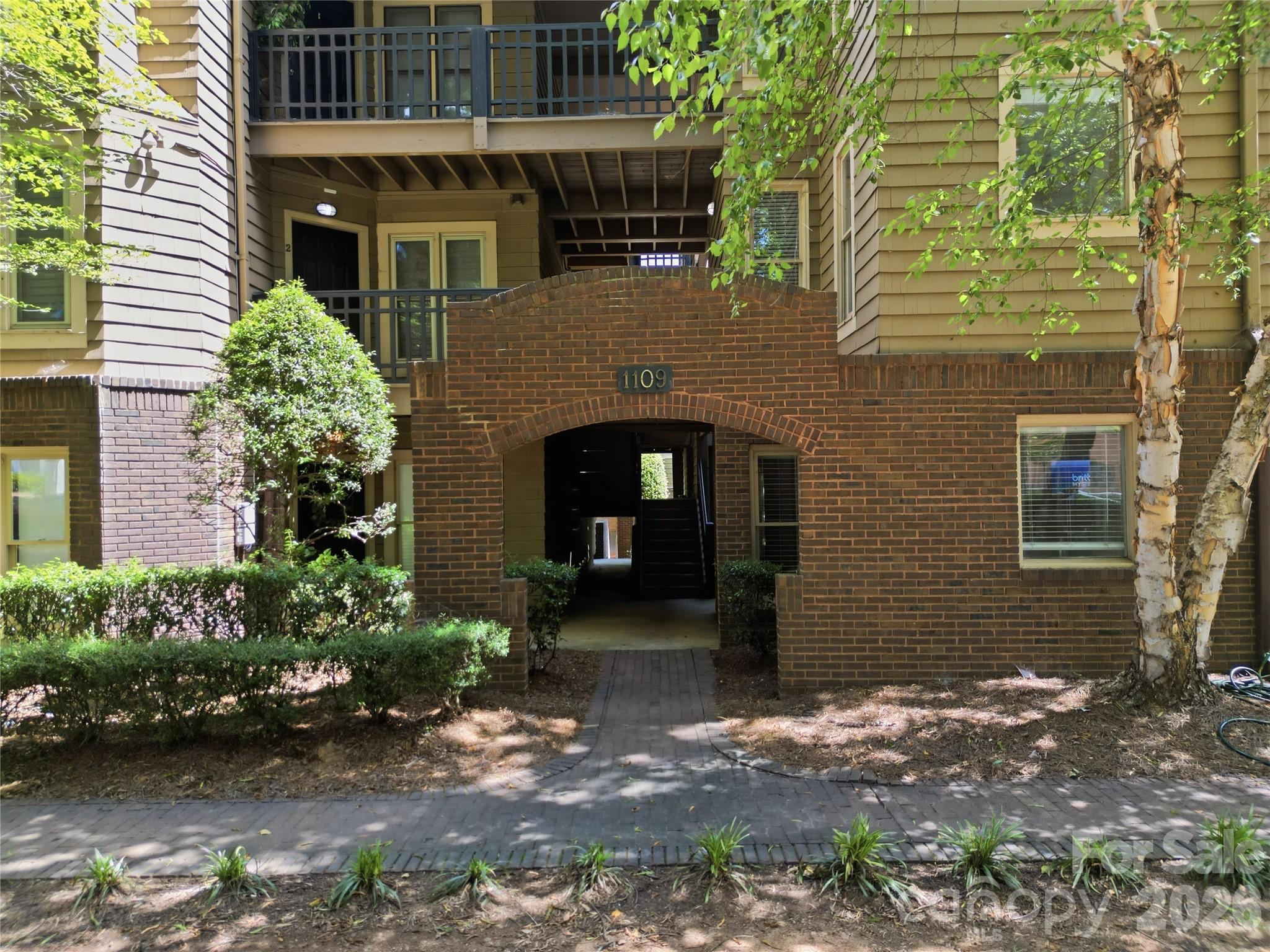Image 19