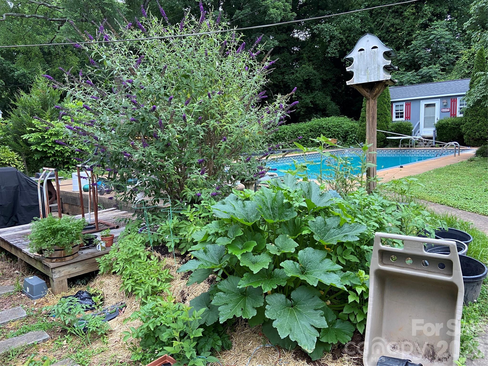 Image 19
