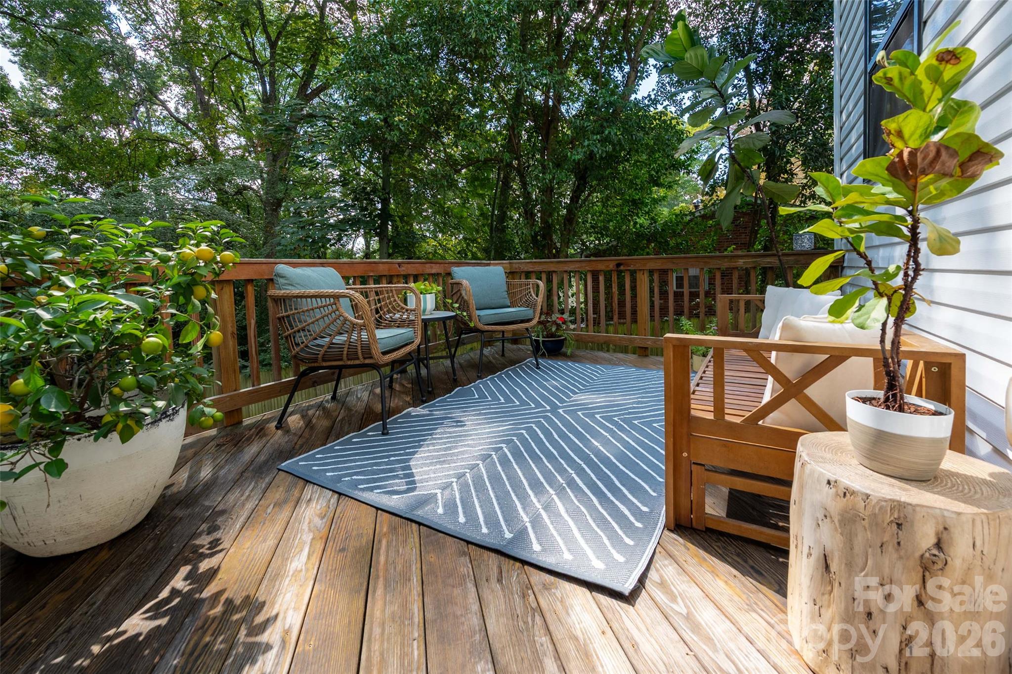 Image 27