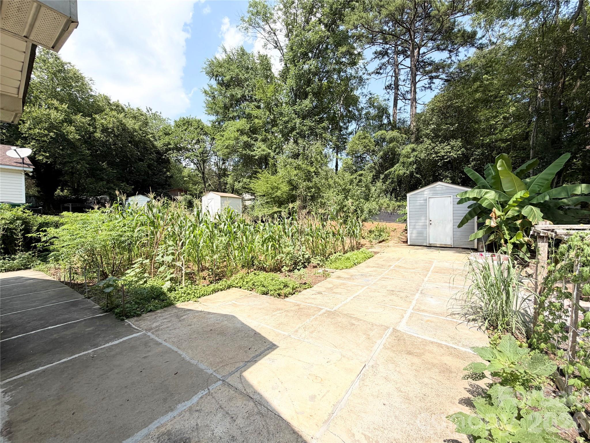 Image 39