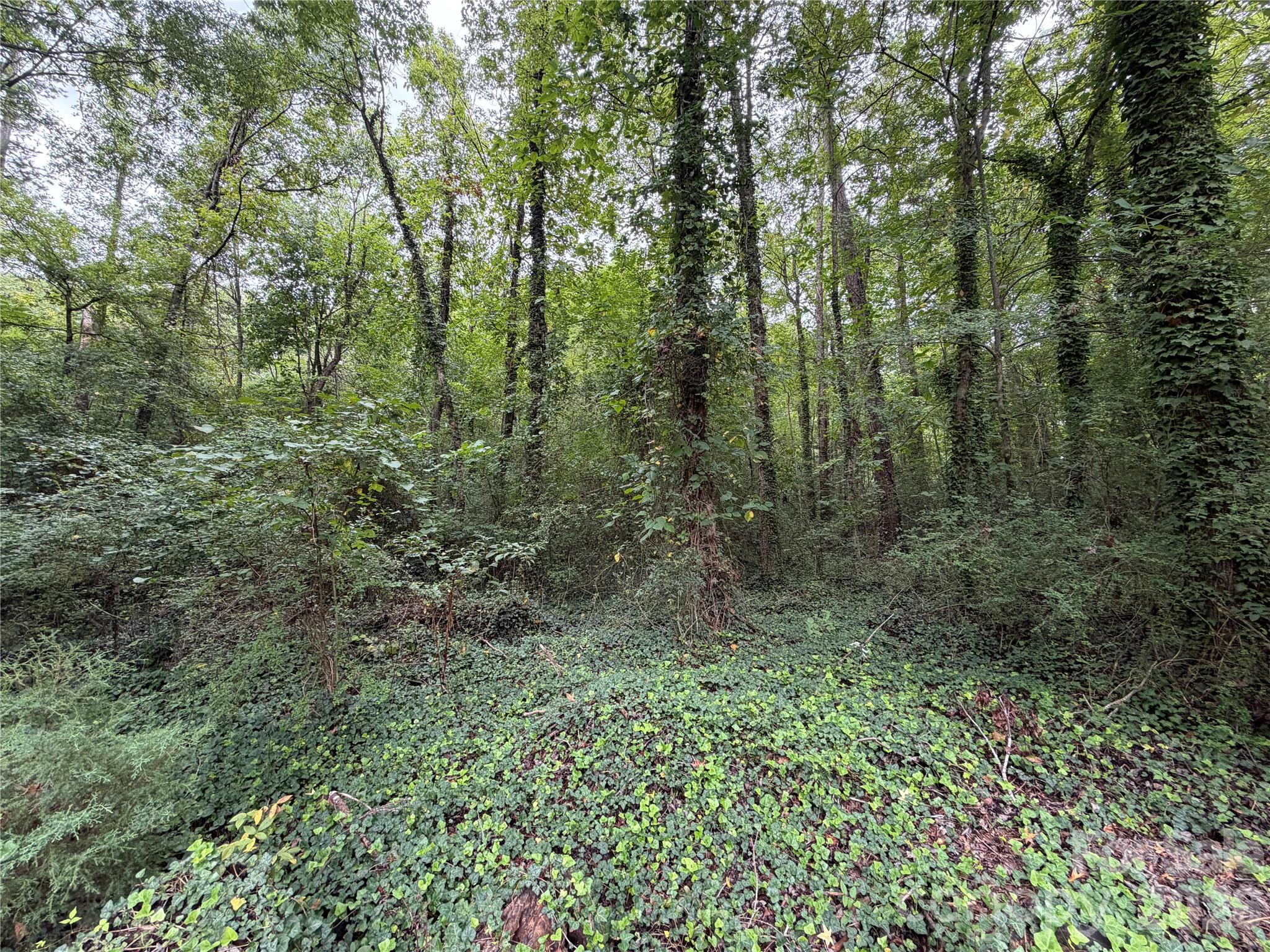 Image 41
