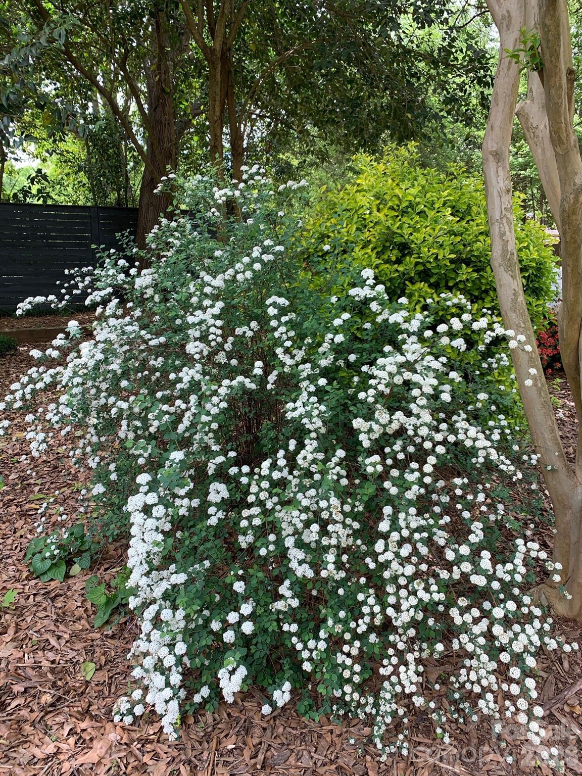 Image 33