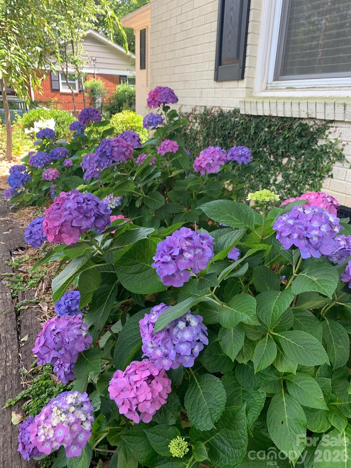 Image 35