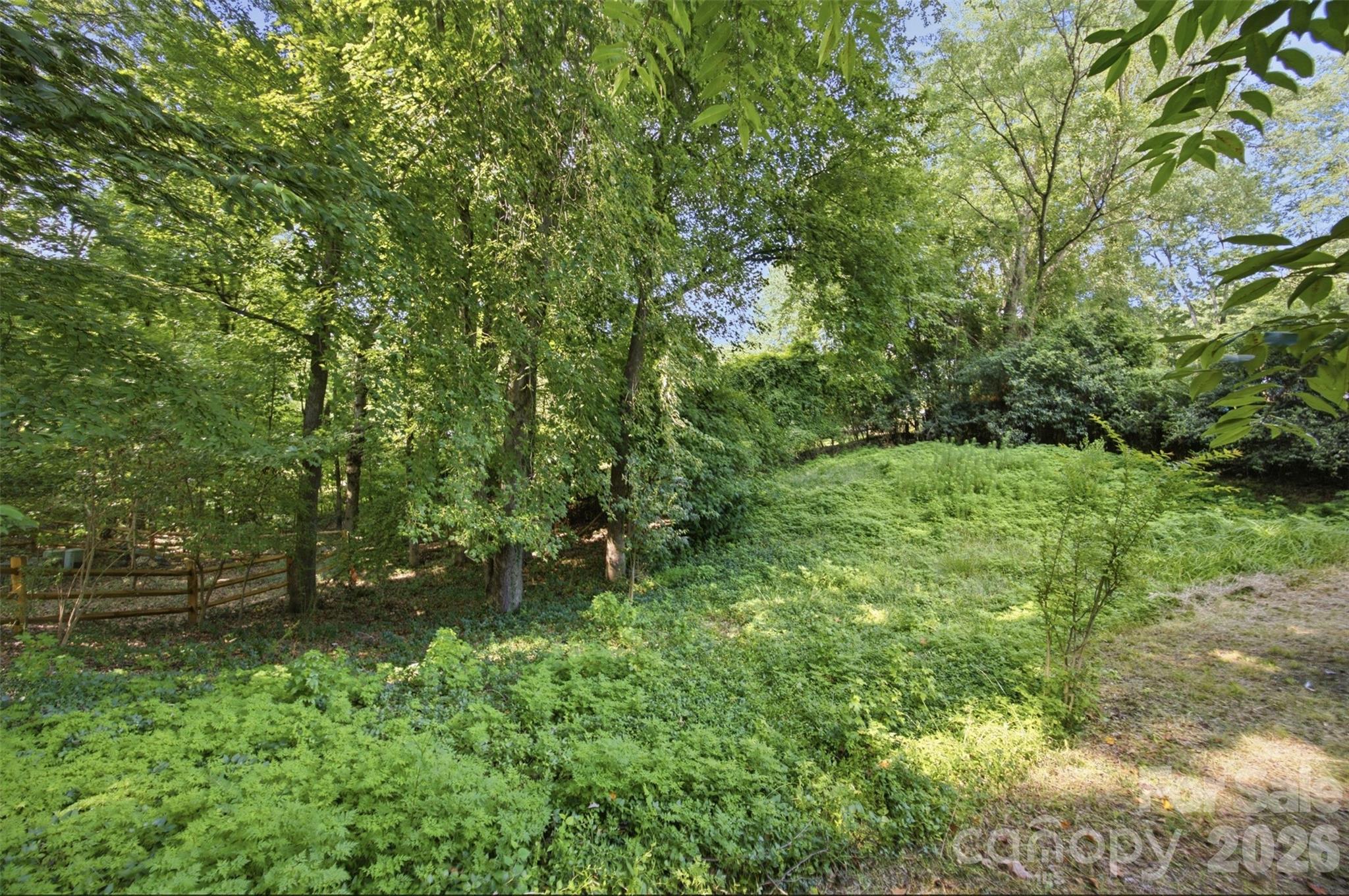 Image 33