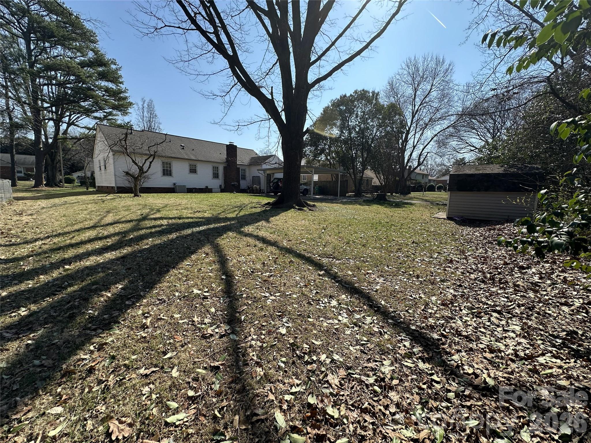 Image 19