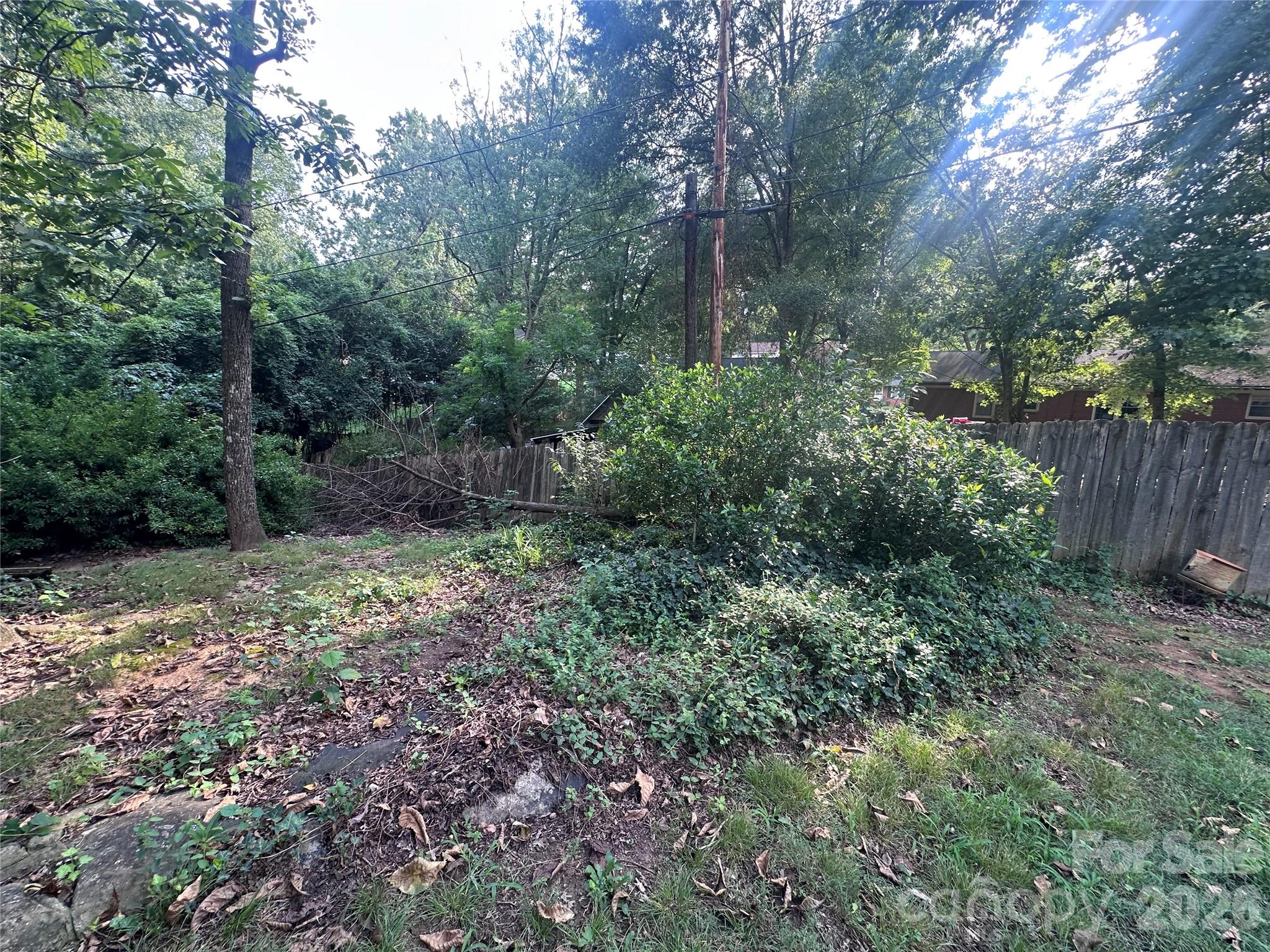 Image 9