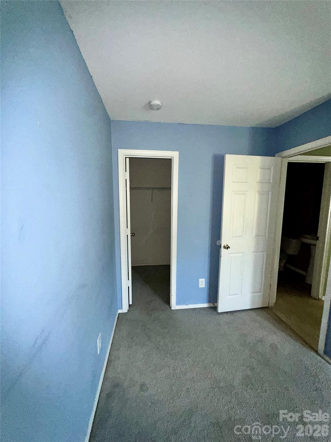Image 15