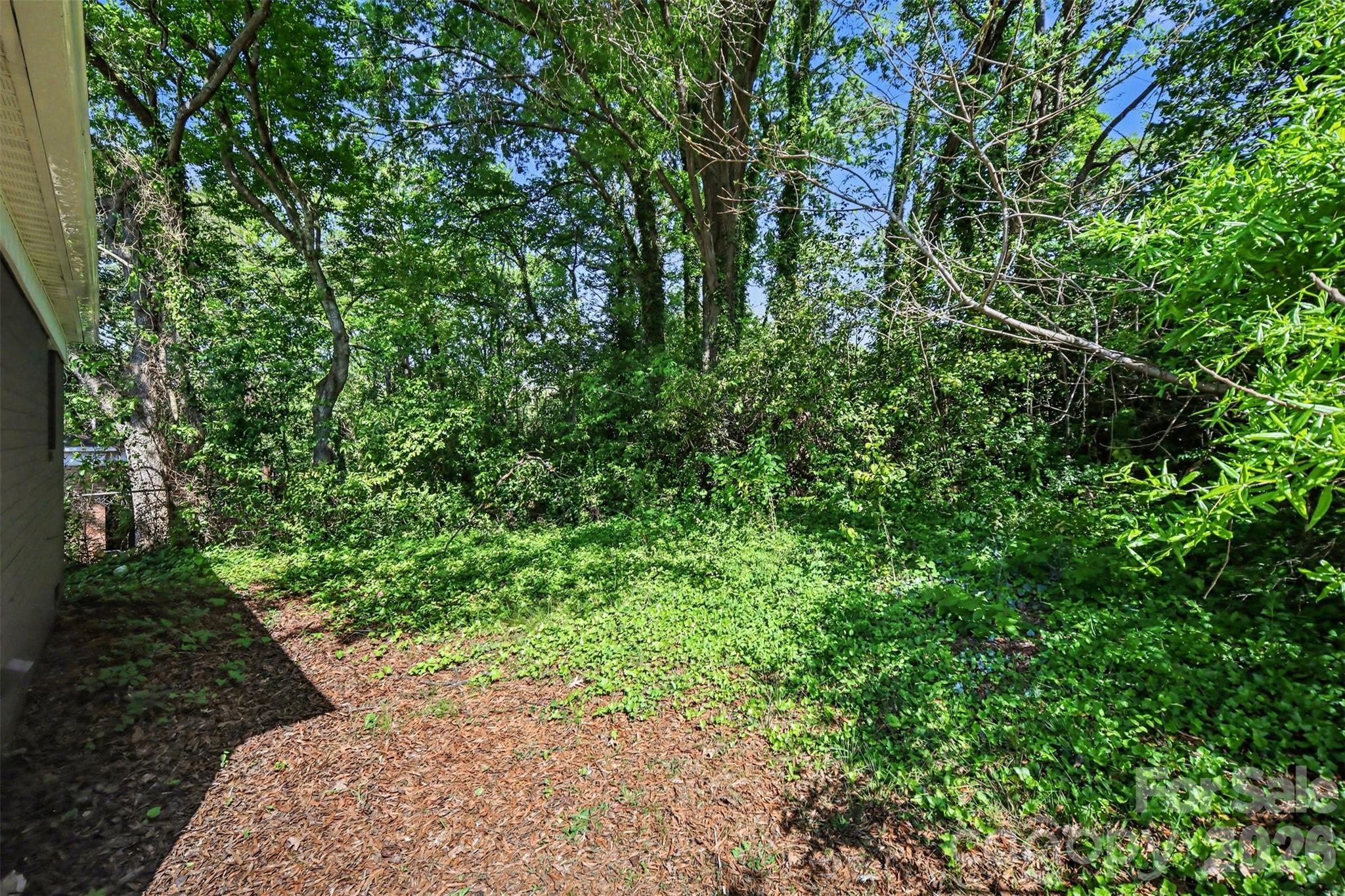 Image 20