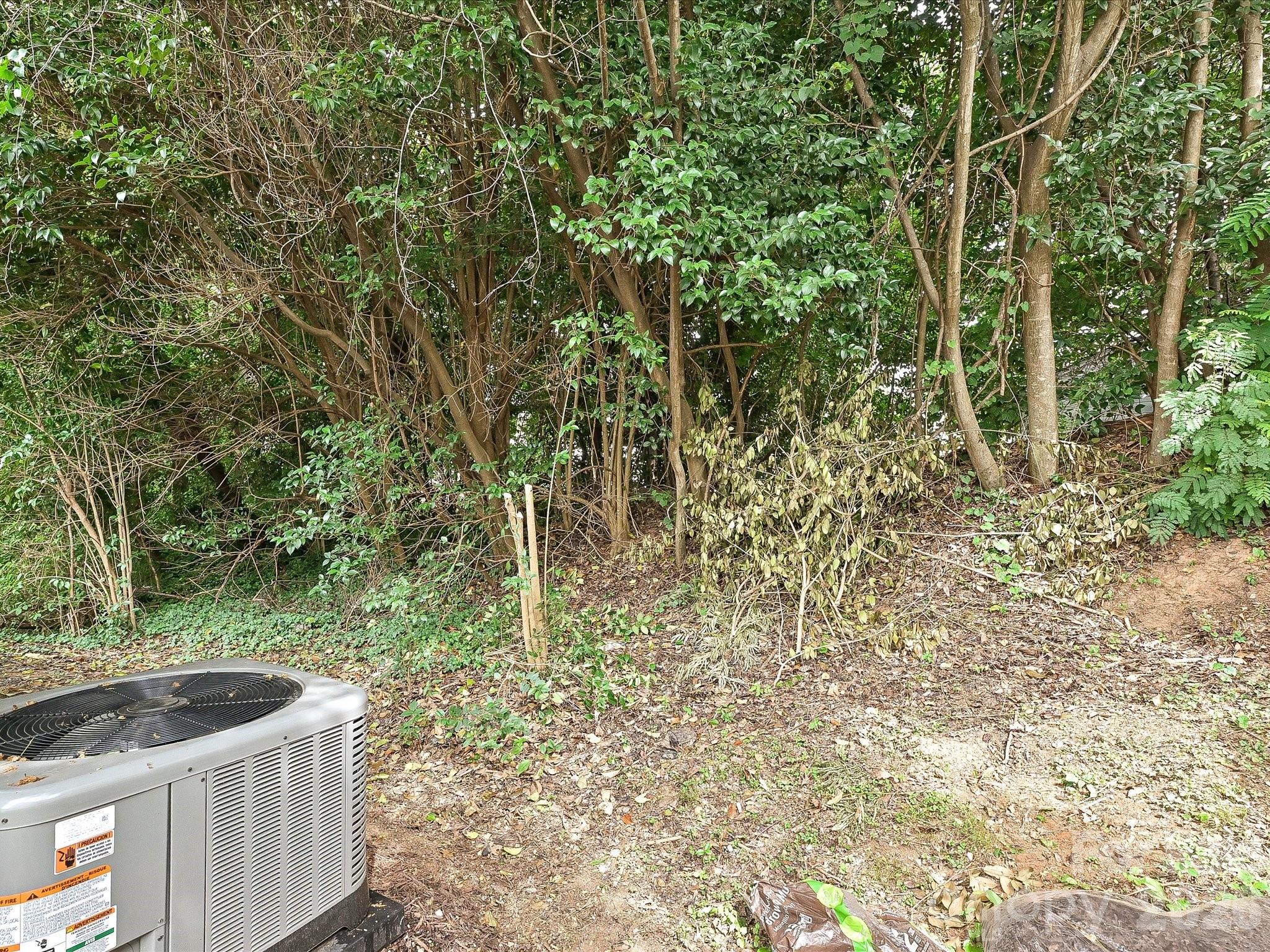 Image 24