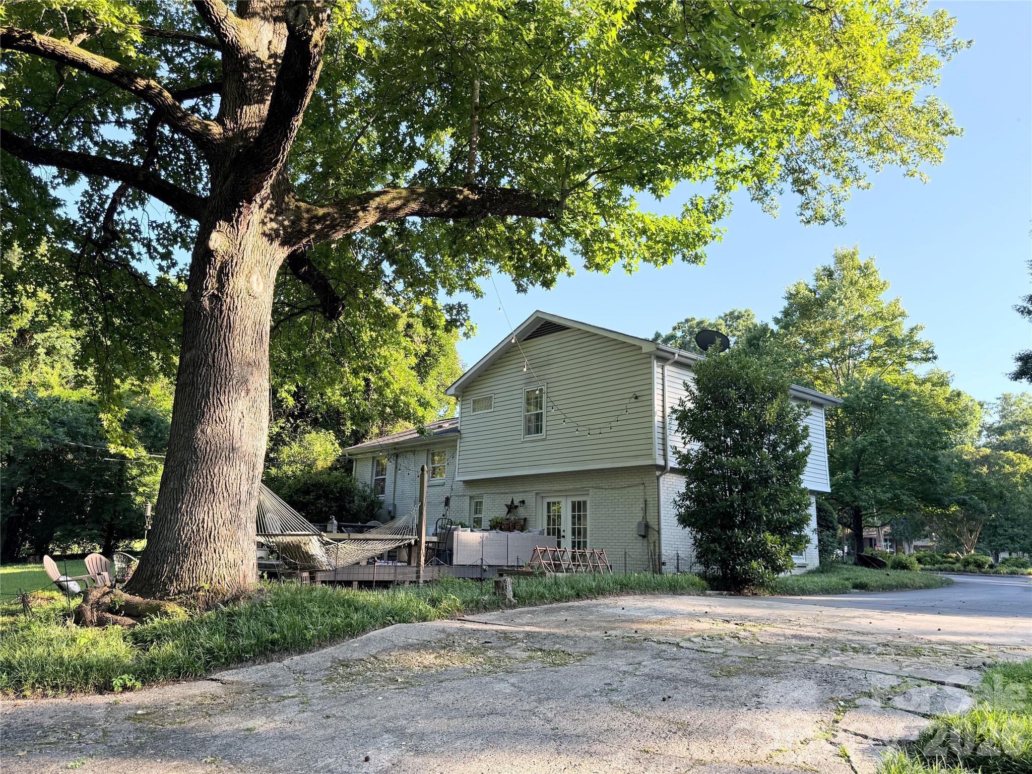 Image 41