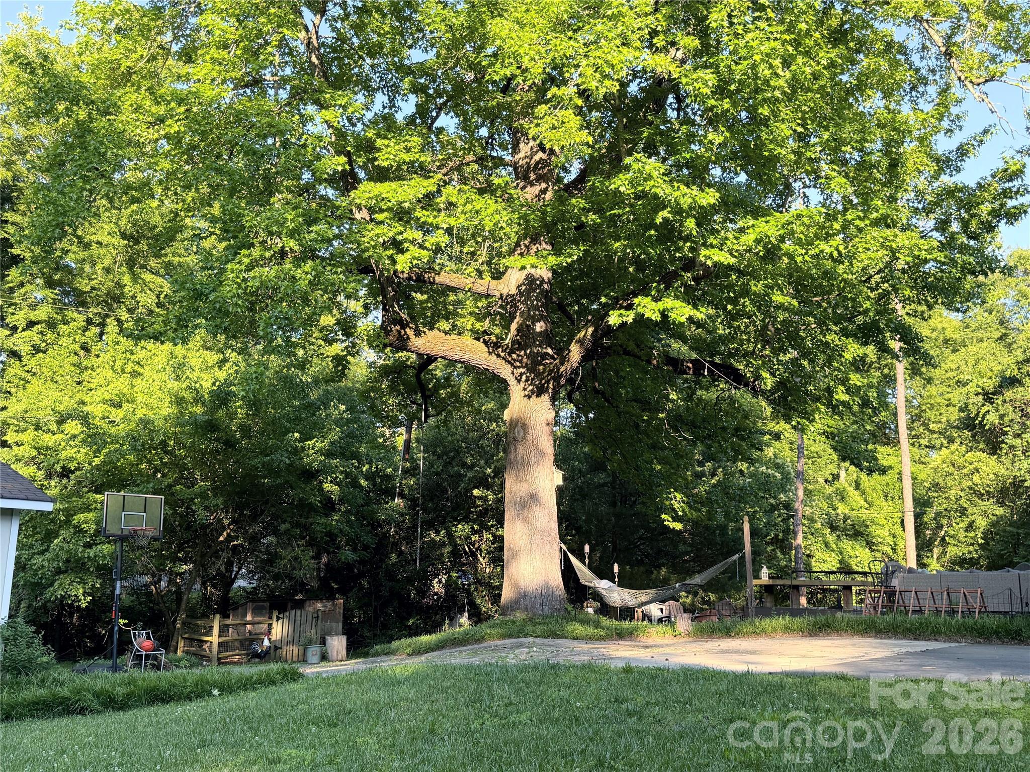 Image 45