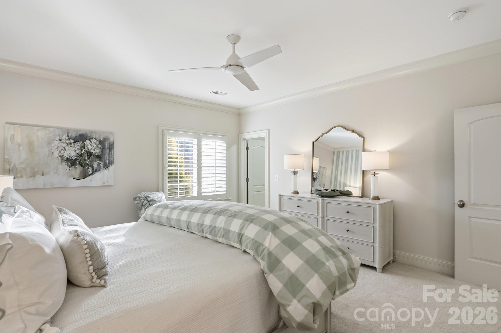 Image 41