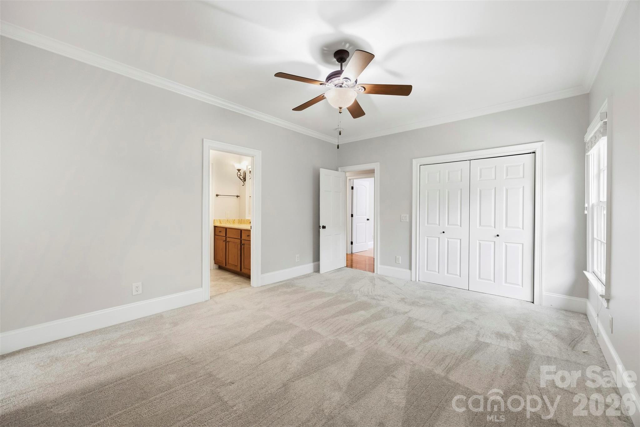 Image 37
