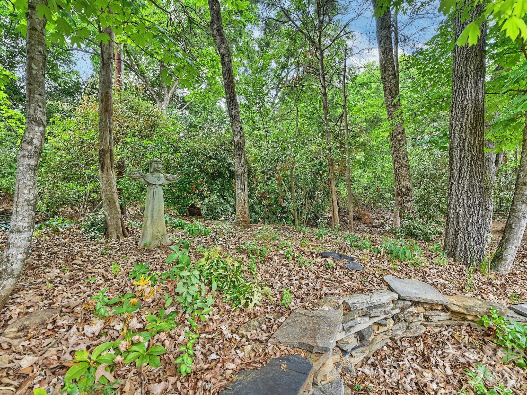 Image 33