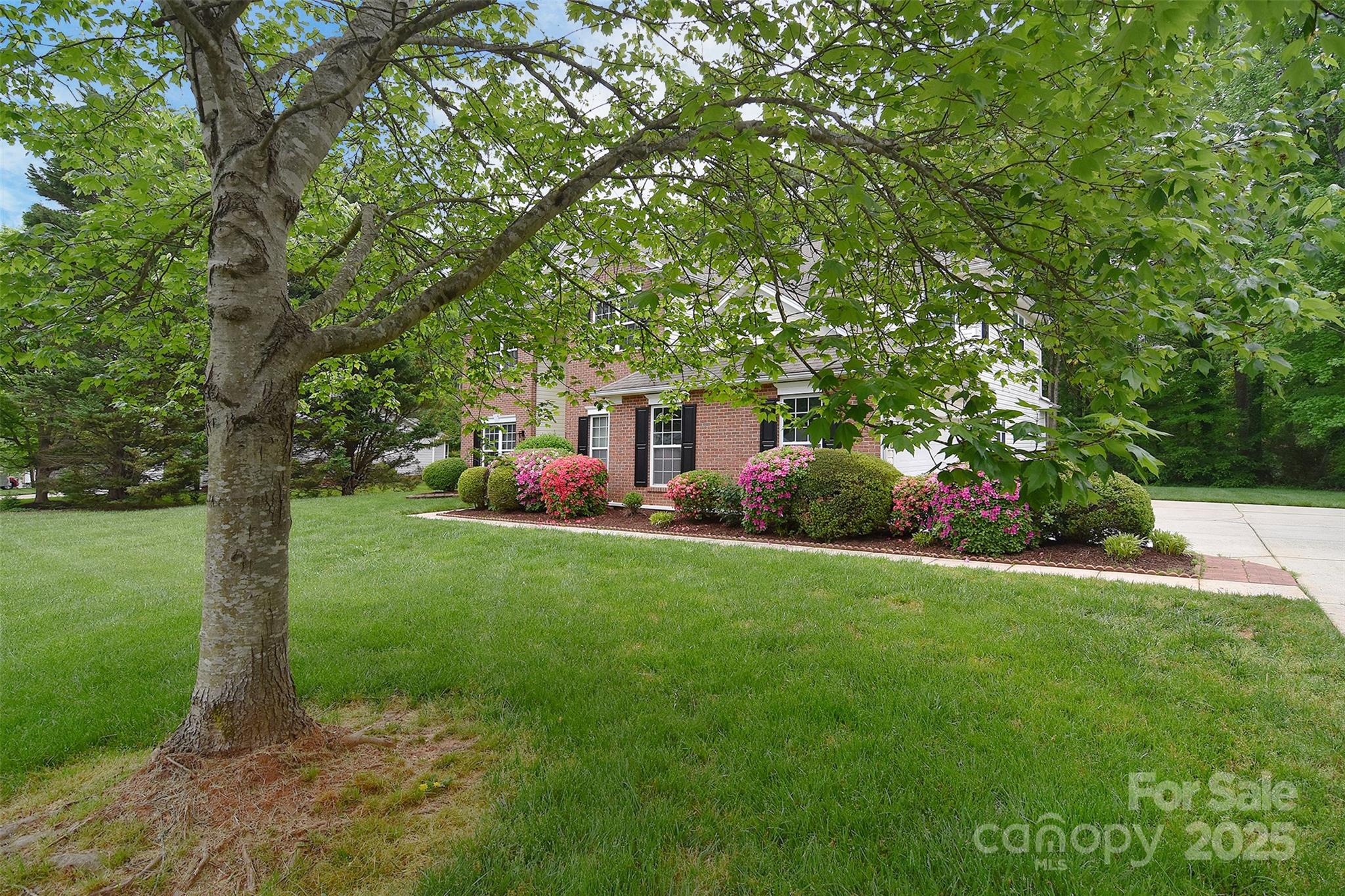 Property view 2